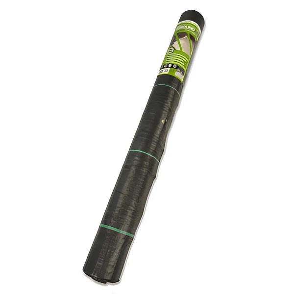 2026_06_03_2189638