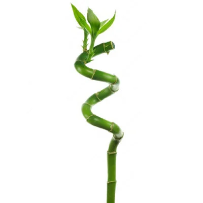 diy-4202606040341472610869