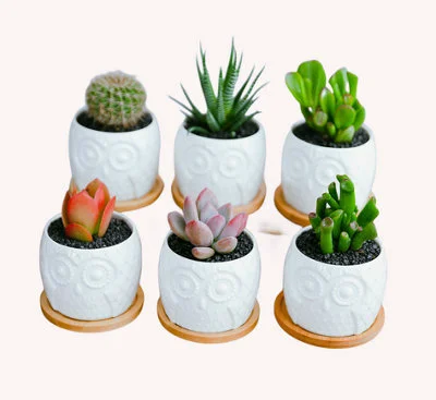 diy-4202606040839442655261