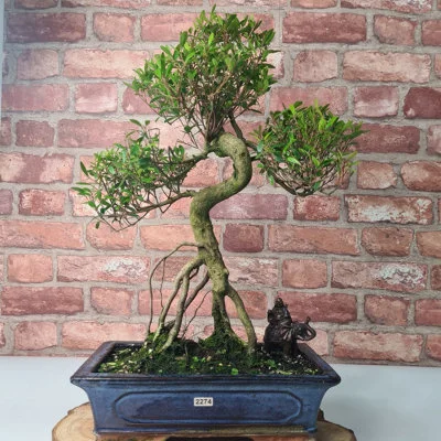 diy-4202606041318442696481