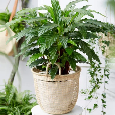 diy-4202606041540452714953