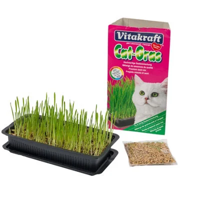 diy-4202606042016262829860
