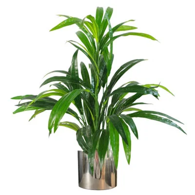diy-4202606050359022909511
