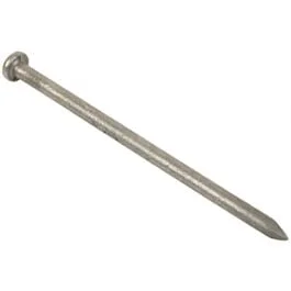 mpmoran202606031235242251650