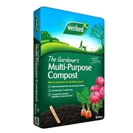 mpmoran202606031504252289768