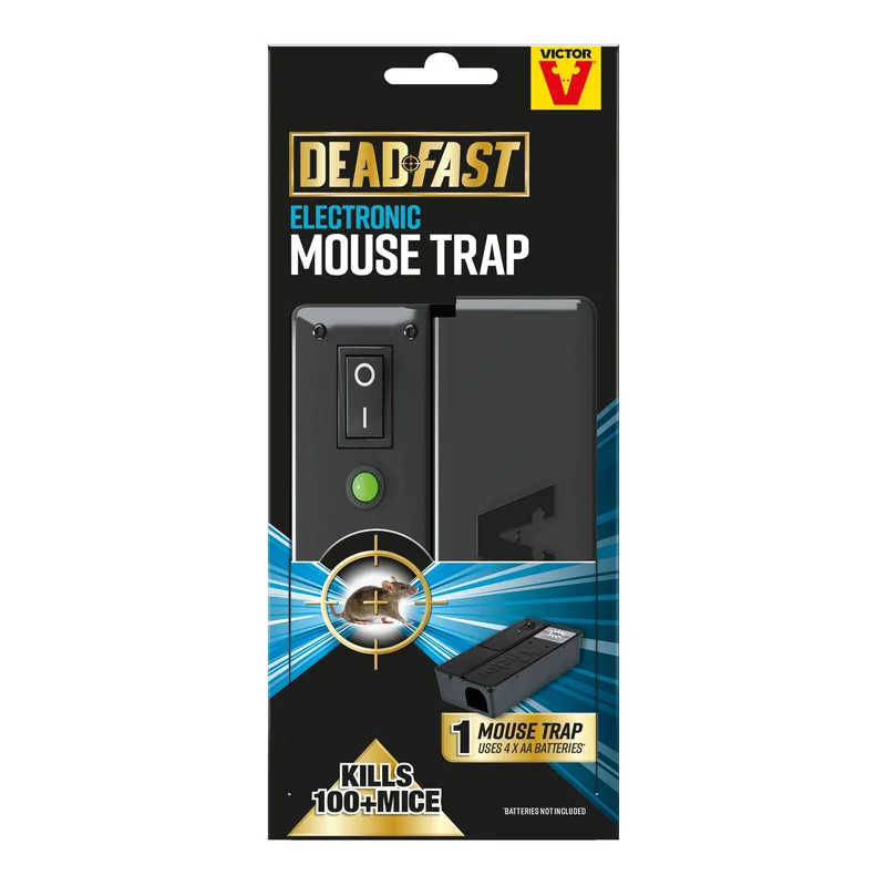 trade-point202606040346362611630
